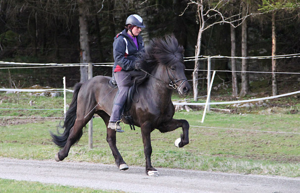 Fjodor och Helene 2012