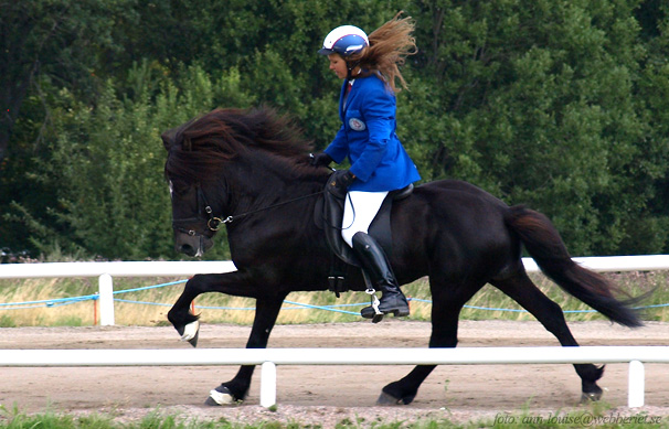 Hector och Elin, NM 2012