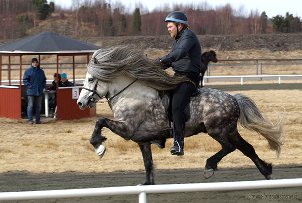 Isac från Sundsby, totalt 7,57 i F2 på Sävebanan, 14 april 2013