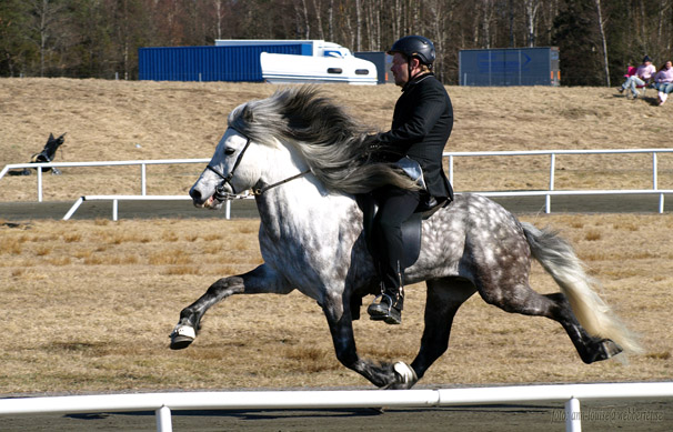 Isac från Sundsby