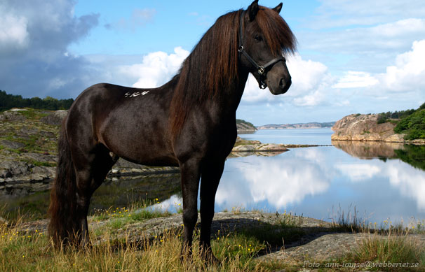 Oliver vid havet på Tjörn, sommaren 2010. Foto: Ann-Louise Svensson