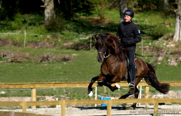 Oliver 7 år. Landi vår 1 maj 2011.