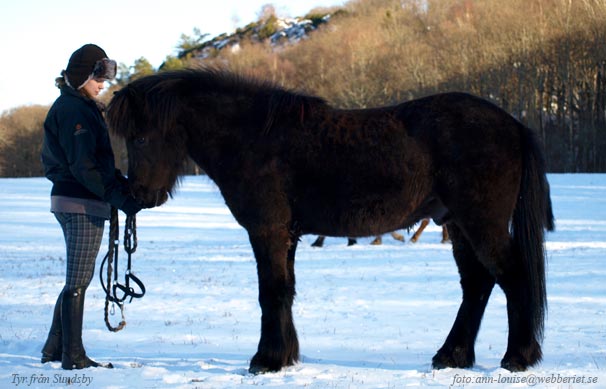 Tyr nästan 5 år