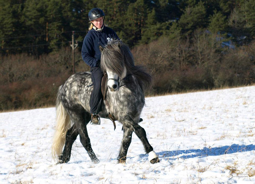 Hector och Halldor, 1 maj 2011