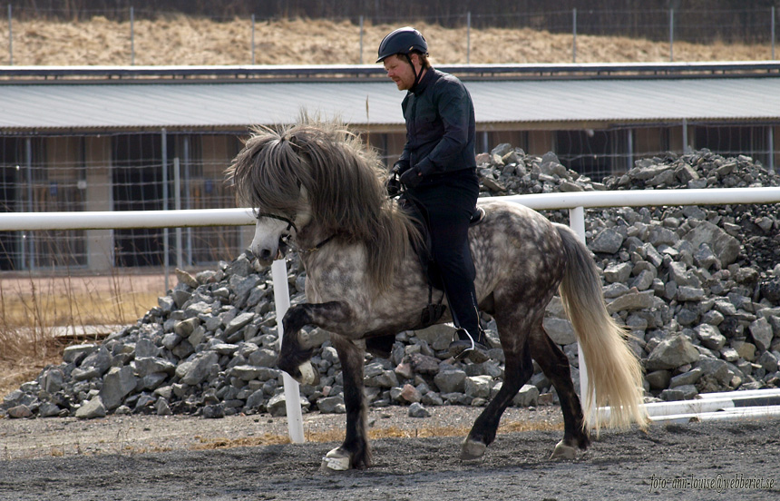 Isac från Sundsby 14 april 2013, Sävebanan