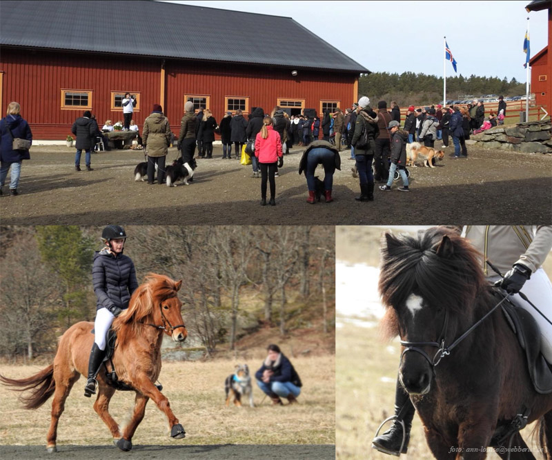 Collage med besökarna, Anna, Orka och Hector