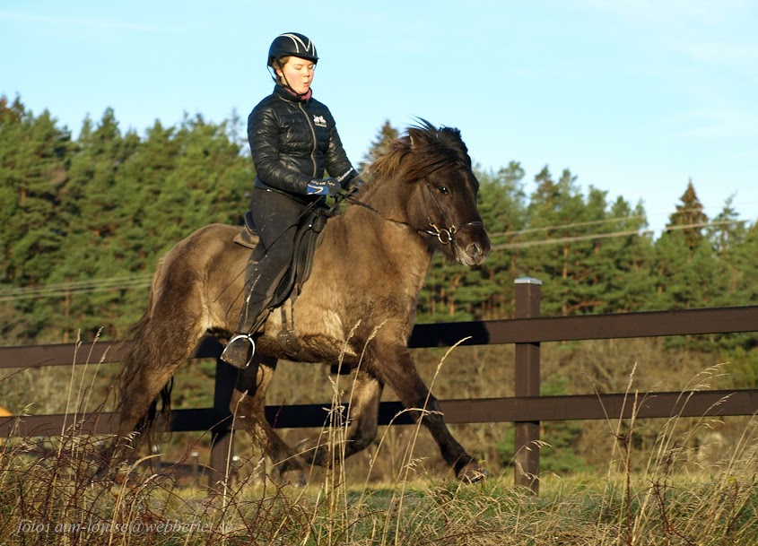 Óli "Mirakel" från Sundsby, 3 år. Foto: Ann-Louise Svensson 