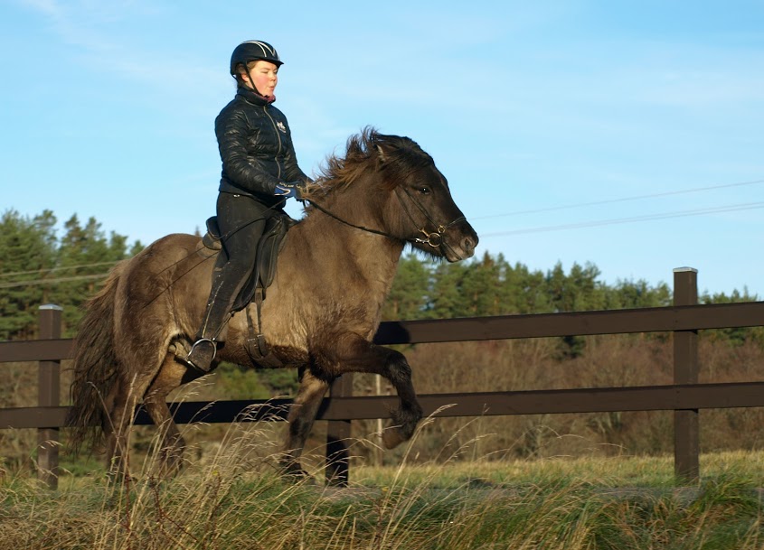 Óli "Mirakel" från Sundsby, 3 år. Foto: Ann-Louise Svensson 