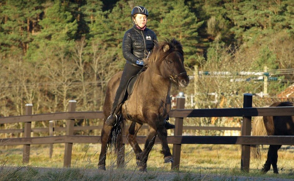 Óli "Mirakel" från Sundsby, 3 år. Foto: Ann-Louise Svensson 