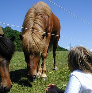 Táta i hagen