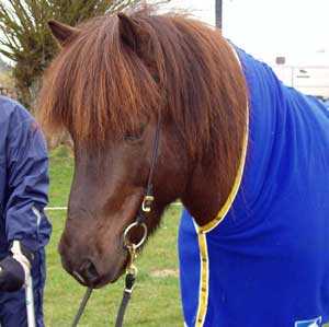 Viktor i april 2004