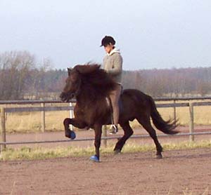 Viktor 2005. Foto: G Rudbäck