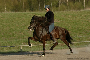 Viktor, mars 2007